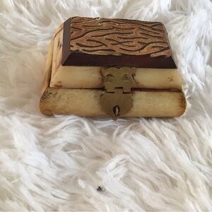 Handcrafted Trinket Box Camel Bone Brass Hinges Velvet Lined Carved Wood Top